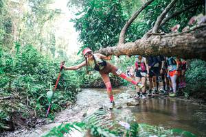 BIB: 
                            <button type="button" onclick="openModal(25469610)" class="btn btn-primary btn-sm float-right btn-popup" data-toggle="modal" data-target=".modal-high-quality">
                        <i class="fas fa-shopping-cart"></i> Add to Cart
                    </button>
                                            <button type="button" onclick="isThisMe(25469610, true)" class="btn btn-success btn-sm float-right btn-popup btn-isme hidden" data-toggle="tooltip" data-placement="bottom" title="นี่คือรูปของคุณใช่ไหม คลิกที่นี่เพื่อเอาเข้าอัลบั้ม">
                        <i class="fas fa-plus"></i> Add to album
                    </button>
                    <button type="button" onclick="isThisMe(25469610, false)" class="btn btn-warning btn-sm float-right btn-popup btn-isnotme hidden">
                        <i class="fas fa-ban"></i> Remove from album
                    </button>